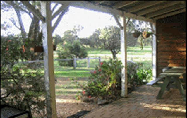 Sunflowers Animal Farm & Farmstay Margaret River Zewnętrze zdjęcie